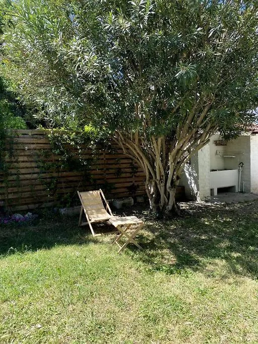 Villa Maison De Caractere Avec Jardin Arbore En Avignon