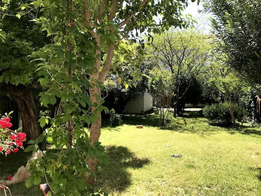 Villa Maison De Caractere Avec Jardin Arbore En Avignon